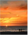 CVS Photo 16 x 20 Repositionable Posters for $5 $5.00