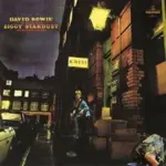 David Bowie – The Rise and Fall of Ziggy Stardust Vinyl LP for $22.97
