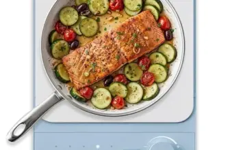 Elite Gourmet Slim Portable Induction Cooktop for $27.99