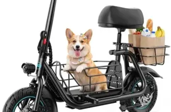 Gyroor C1S Electric Scooter with Seat Now $279.99
