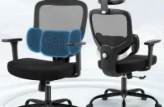 Hayelf Ergonomic Office Desk Chair with Headrest and Lumbar Support for $79.99