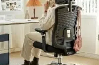 Huanuo Ergonomic Lumbar Support Office Chair with Headrest for $88.39