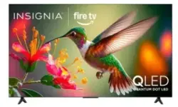 Insignia 65″ QF Series QLED 4K UHD Smart Fire TV for $300