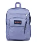 JanSport 15″ Laptop Backpack in Lavender Ash for $40.20