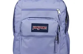 JanSport 15″ Laptop Backpack in Lavender Ash for $40.20