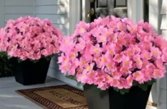 8-Bundle Juxdp 14″ Artificial Camellia Silk Flower Bouquets for $9.99