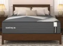 Lechepussleep 10″ Queen Mattress for $160 – Up to 55% Off Furniture Sale