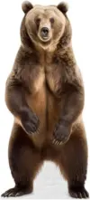 Life-Size Animal Cardboard Cutouts Starting at $13 $13.00