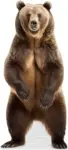 Life-Size Animal Cardboard Cutouts Starting at $13 $13.00