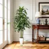 LuceAlberi 5FT Artificial Dracaena Tree for $31.49