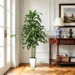 LuceAlberi 5FT Artificial Dracaena Tree for $31.49
