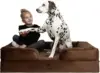 Noah & Paw XL Orthopedic Dog Bed with Memory Foam & Cooling Gel for $54
