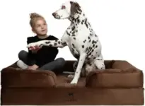 Noah & Paw XL Orthopedic Dog Bed with Memory Foam & Cooling Gel for $54