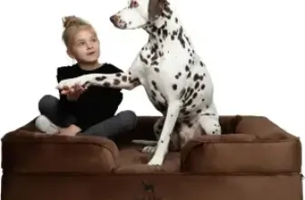 Noah & Paw XL Orthopedic Dog Bed with Memory Foam & Cooling Gel for $54