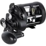 Penn Rival Level Wind Conventional Fishing Reel for $80.85