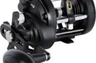 Penn Rival Level Wind Conventional Fishing Reel for $80.85