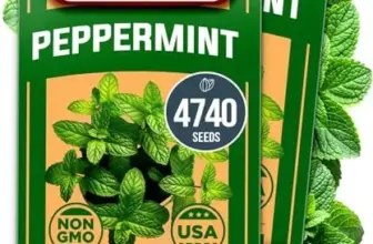 Peppermint Plant (Mentha piperita) for $6.39, originally $12.99