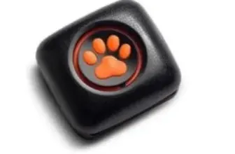 PitPat Dog Activity Monitor – Smart Tracker for Dogs Now $48 $48.00