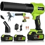 Plymax Blax X Cordless Leaf Blower with 2x 4.0Ah Batteries for $35.99