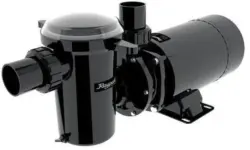 Raypak Protege 1.0 HP Above Ground Pool Pump for $54.28