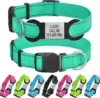 ROKHEVN Personalized Dog Collar with Name Plate for $5.50
