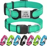 ROKHEVN Personalized Dog Collar with Name Plate for $5.50