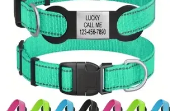 ROKHEVN Personalized Dog Collar with Name Plate for $5.50