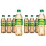Seagrams 16.9oz Ginger Soda (12-Pack) for $6.26