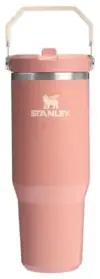 Stanley IceFlow 2.0 Flip Straw Tumbler with Handle for $26.25