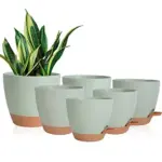 Vanslogreen Self-Watering Planters, 6-Pack for $12.74