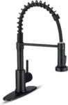 WEWE Kitchen Faucet with Pull Down Sprayer for $38
