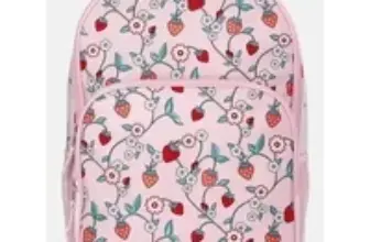Wonder Nation Kids 17-inch Berry Patch Backpack for $4.97
