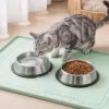 Aisslro Silicone Pet Feeding Mat w/ Raised Edges $8.99