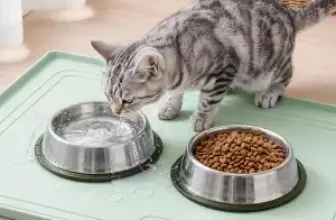 Aisslro Silicone Pet Feeding Mat w/ Raised Edges $8.99