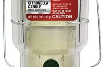 Coleman Citronella Candle Outdoor Lantern – $5.98