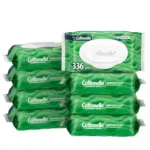 Cottonelle GentlePlus Flushable Wet Wipes 8-Pack for $9.09