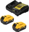 Dewalt 20V MAX 5.0Ah 2-Pack Batteries with 2 Free Tools for $299 $299.00