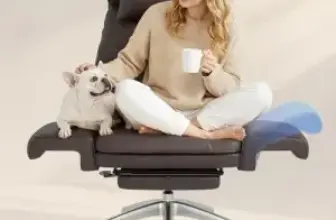 FLEXISPOT Big and Tall Office Chair with Oversized Seat – $210