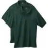 Hanes Men’s Short Sleeve Polo Shirt 2-Pack for $10.50