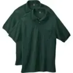 Hanes Men’s Short Sleeve Polo Shirt 2-Pack for $10.50