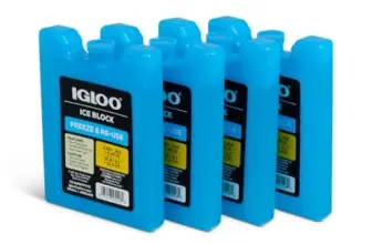 Igloo Maxcold Ice Block Set – 4 Pieces for $3.92