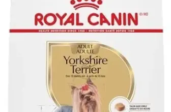 Royal Canin Dog Food Available on Amazon