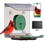 Solar-Powered Smart Bird Feeder with Camera for $19.99