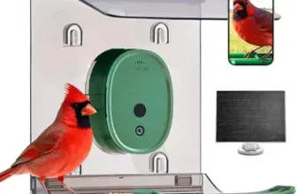 Solar-Powered Smart Bird Feeder with Camera for $19.99