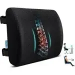 Qutool Memory Foam Lumbar Back Support Pillow for $13.99