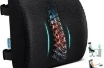Qutool Memory Foam Lumbar Back Support Pillow for $13.99