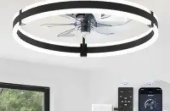 Zmishibo Low Profile 19.7″ Dimmable Ceiling Fan with Lights for $42.23