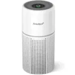 Aroma Room PM2.5 Monitor Smart Auto Mode Air Purifier for $29.99