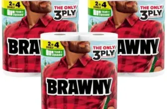 Brawny Tear-A-Square 3-Ply Paper Towels – 6 Double Rolls for $10.05