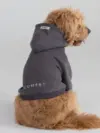 Comfrt Tranquil Paw Hoodie Now $19, Originally $50 $19.00